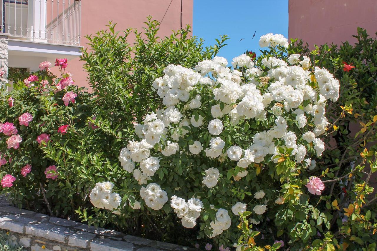 Nikolas House Gimari Dış mekan fotoğraf